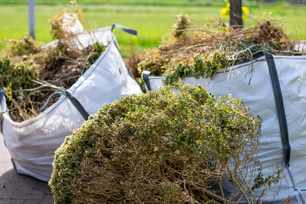 Best Yard Waste Removal  in Colonial Heights, TN